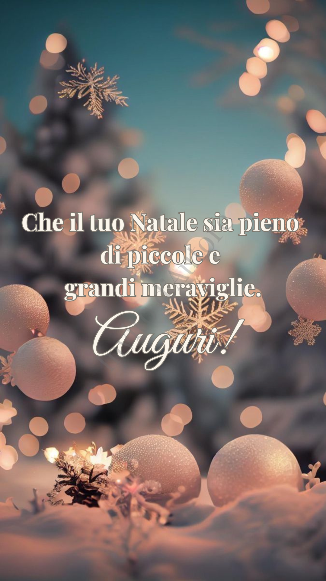Natale e Meraviglie